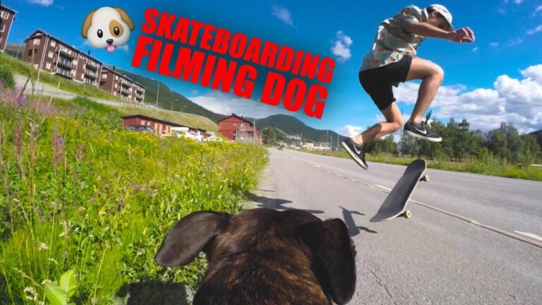 Dog Riding Red Skateboard: A Captivating Image